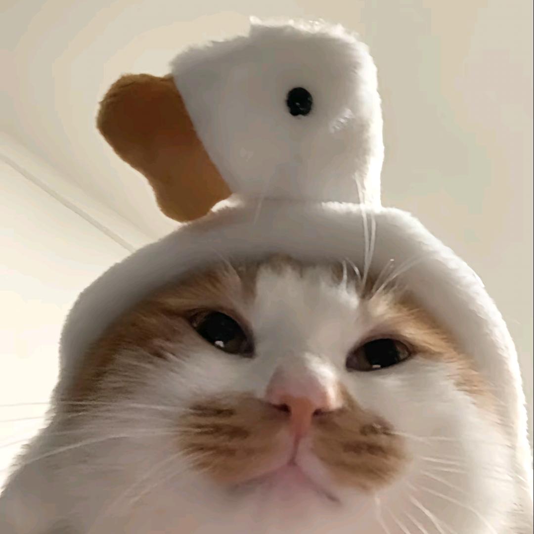 ya