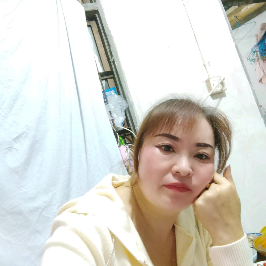 森林外的小路