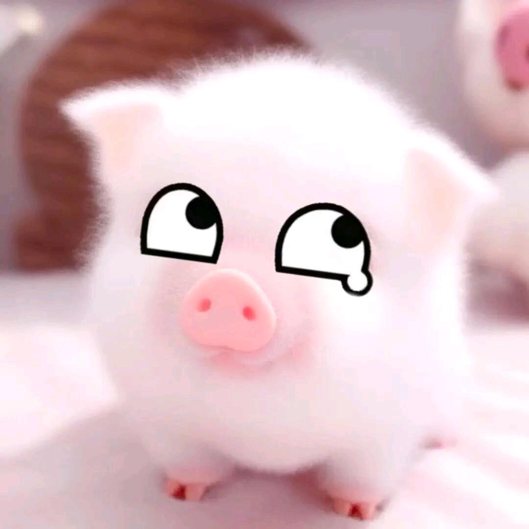 小眼睛