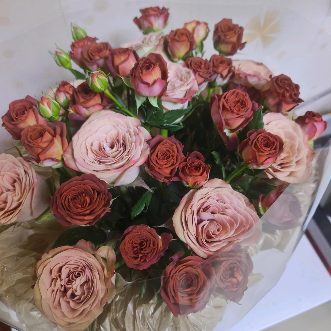 一切随缘（拒私聊）