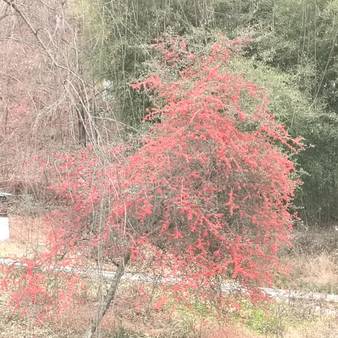 用户5989765377114桔子姐姐