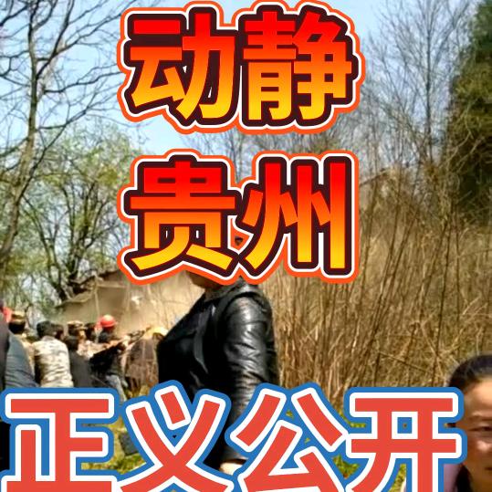 实名举报动静贵州