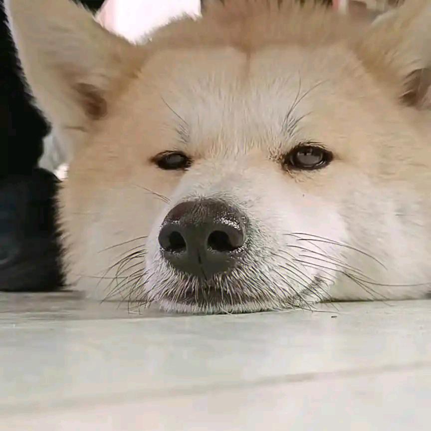不可打瞌睡
