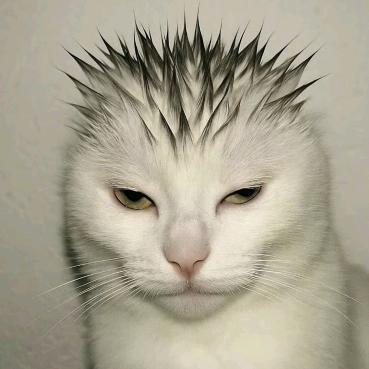 呓语