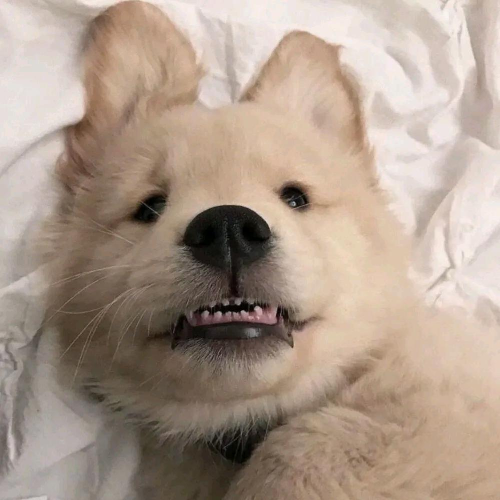 😀