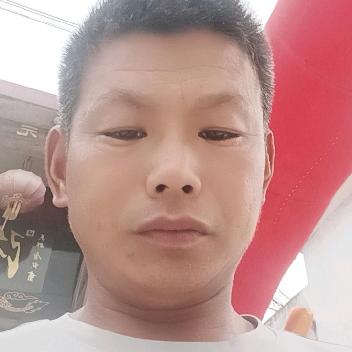 定陶前杨楼二伟超市