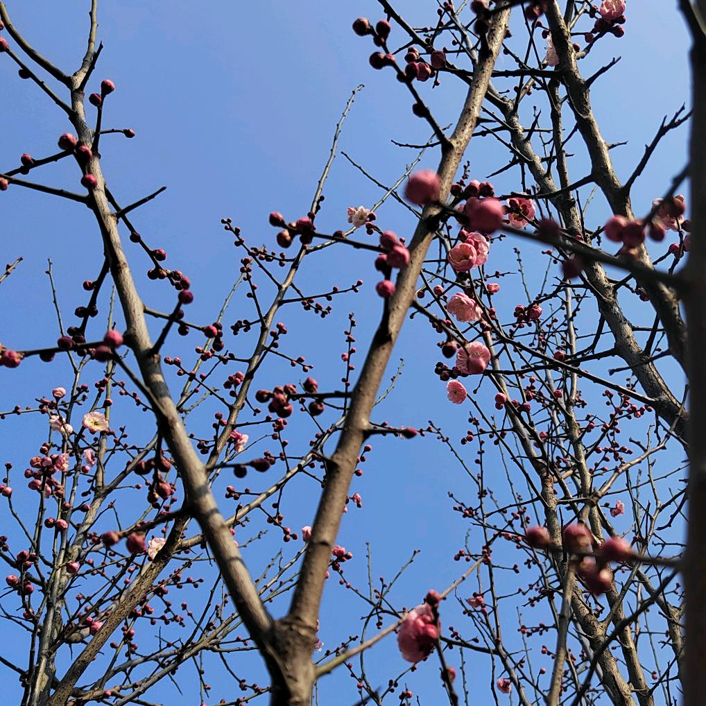 用户65630869212625