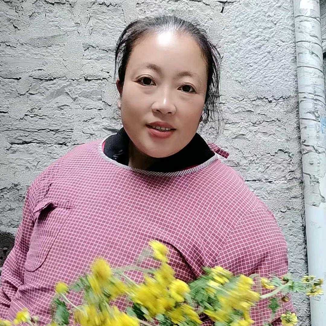 豪豪妈3