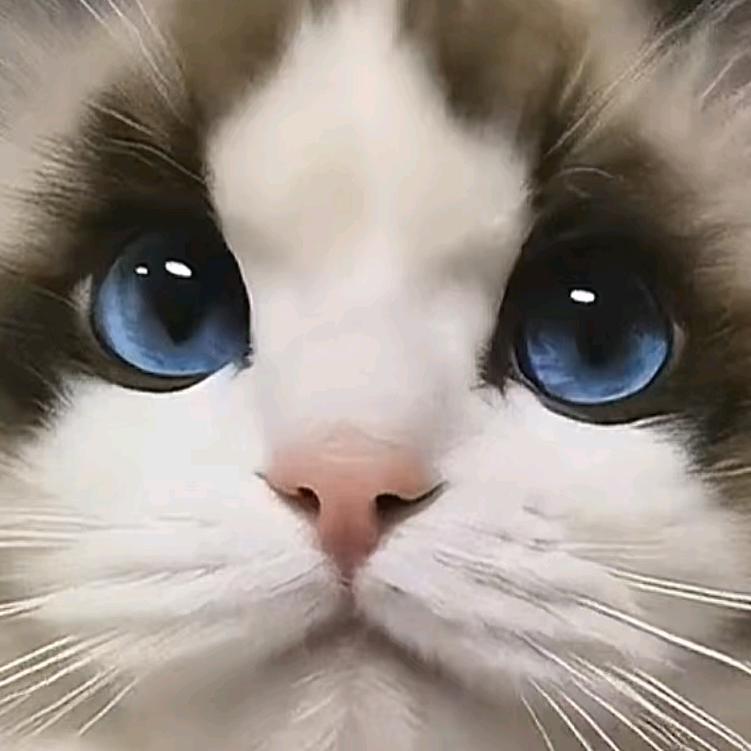 兰姐