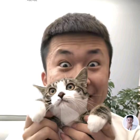 就叫了个锤子