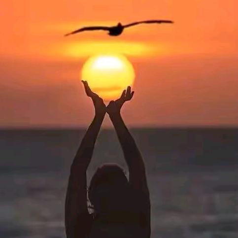 四川特产水果在虎门（小刘）