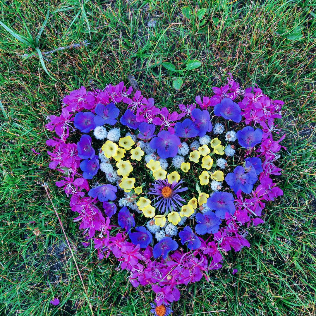 བསྟན་巴བློ་追💖