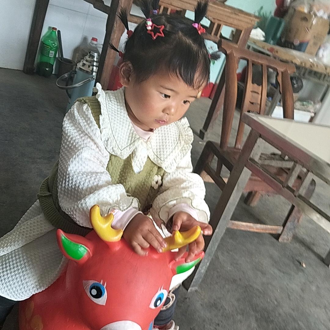 重新开始小花