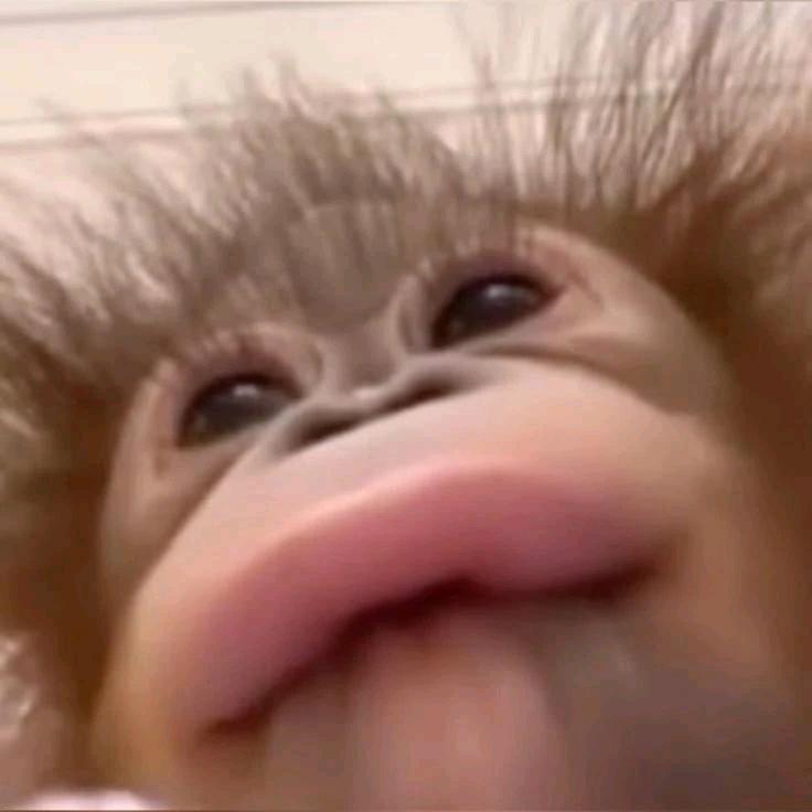 陈之北