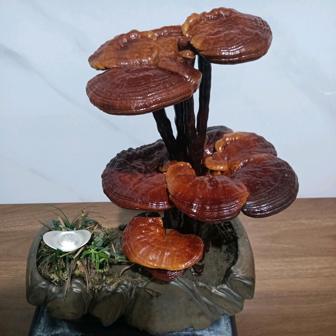 用心守护