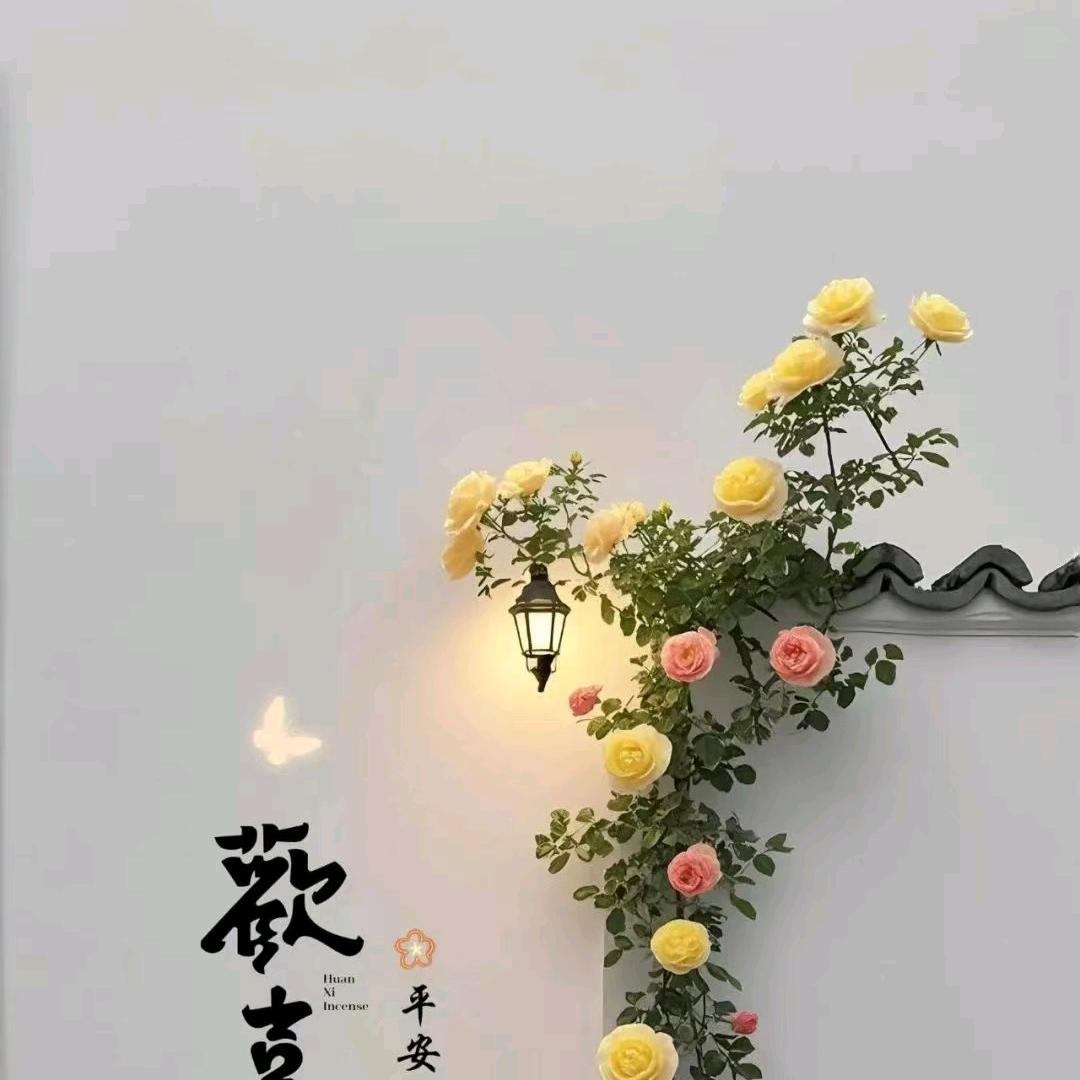 囍 歡 ꪶꪱҟꫀº