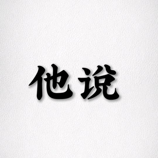 他说