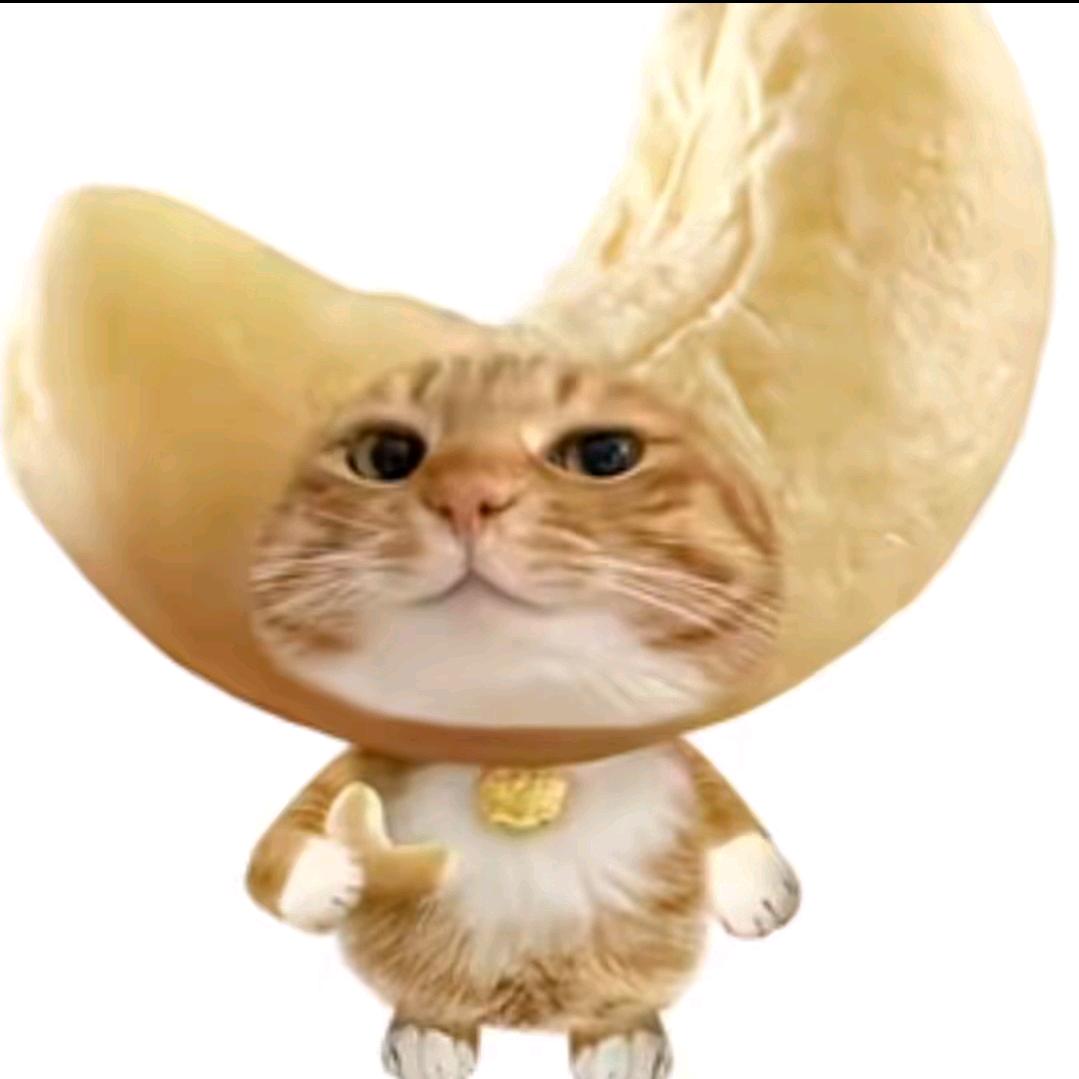 腰果树(超自然行动组)