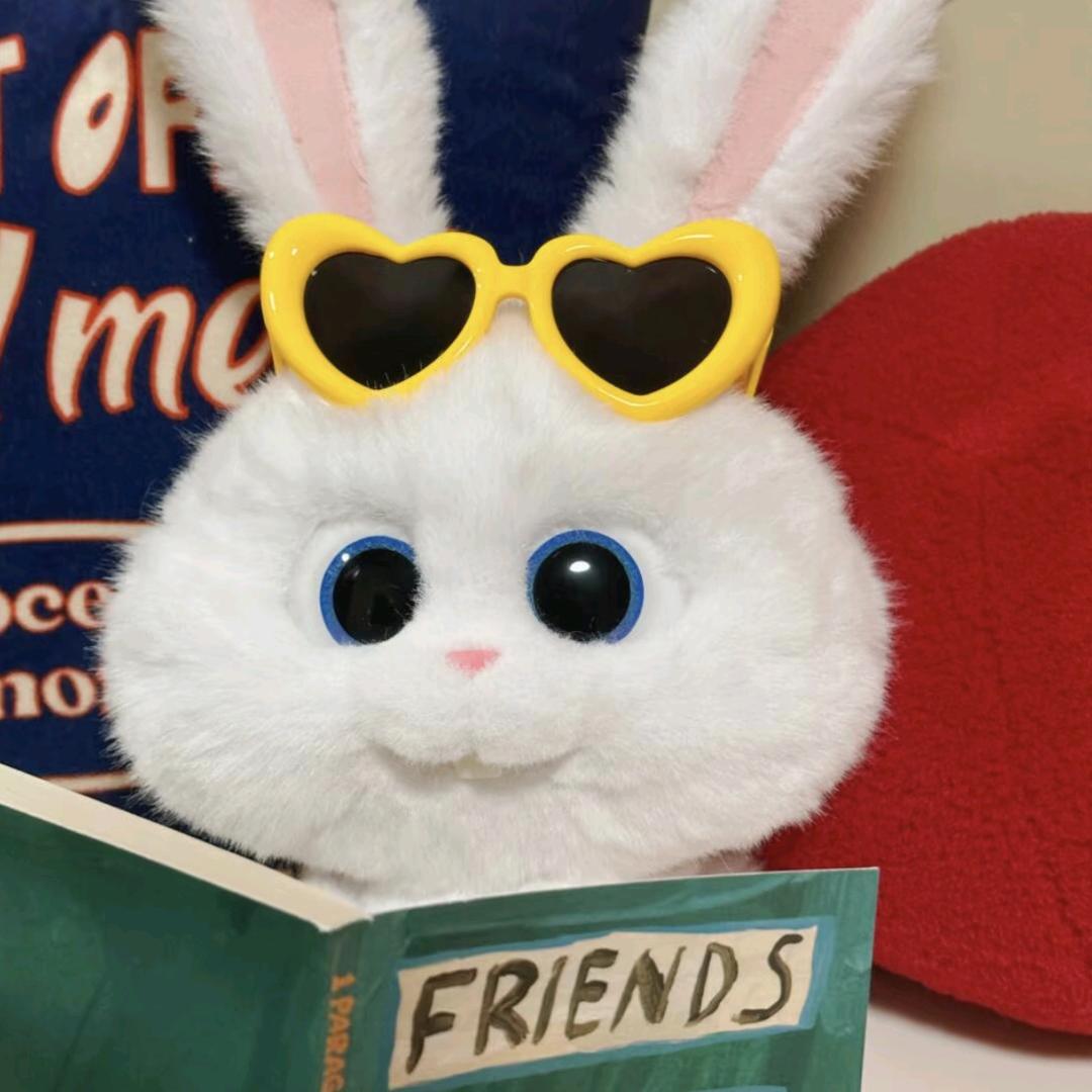🐰不乖