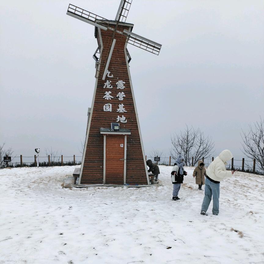 乐清市九龙茶园露营基地