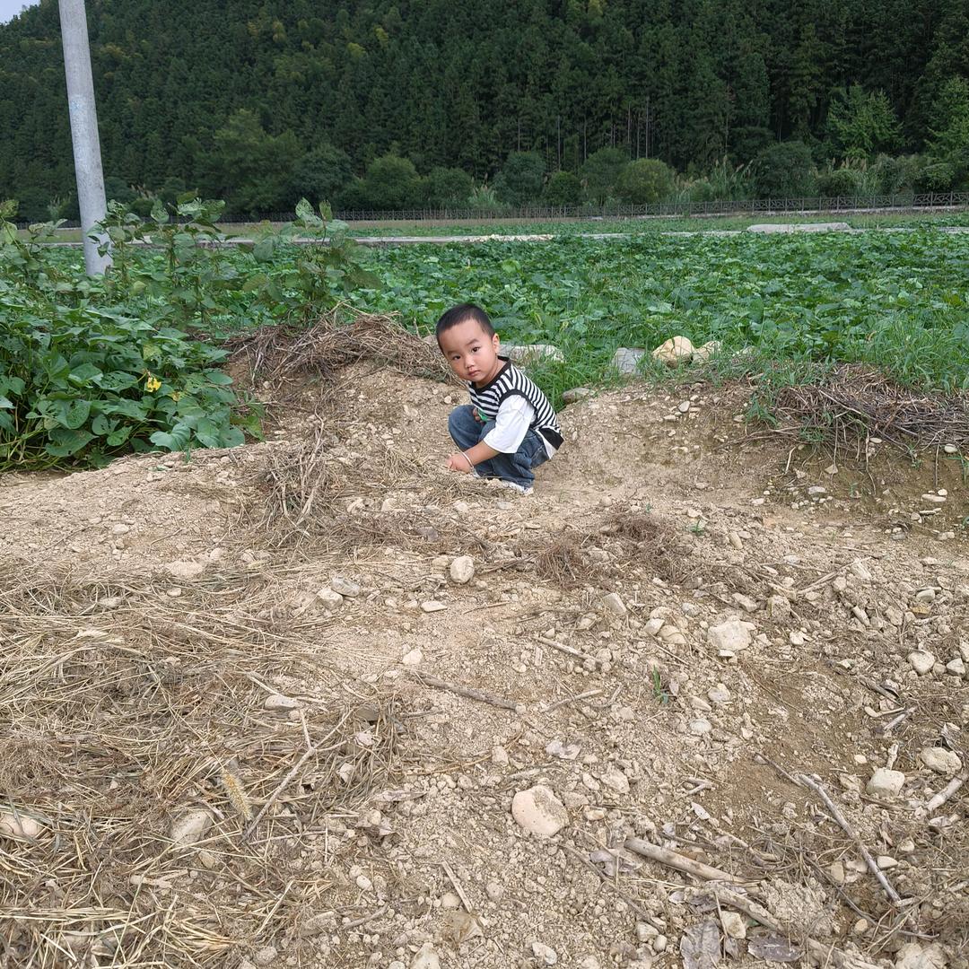 罐罐妈咪