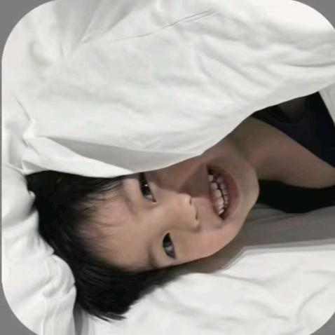 失眠数羊²⁷