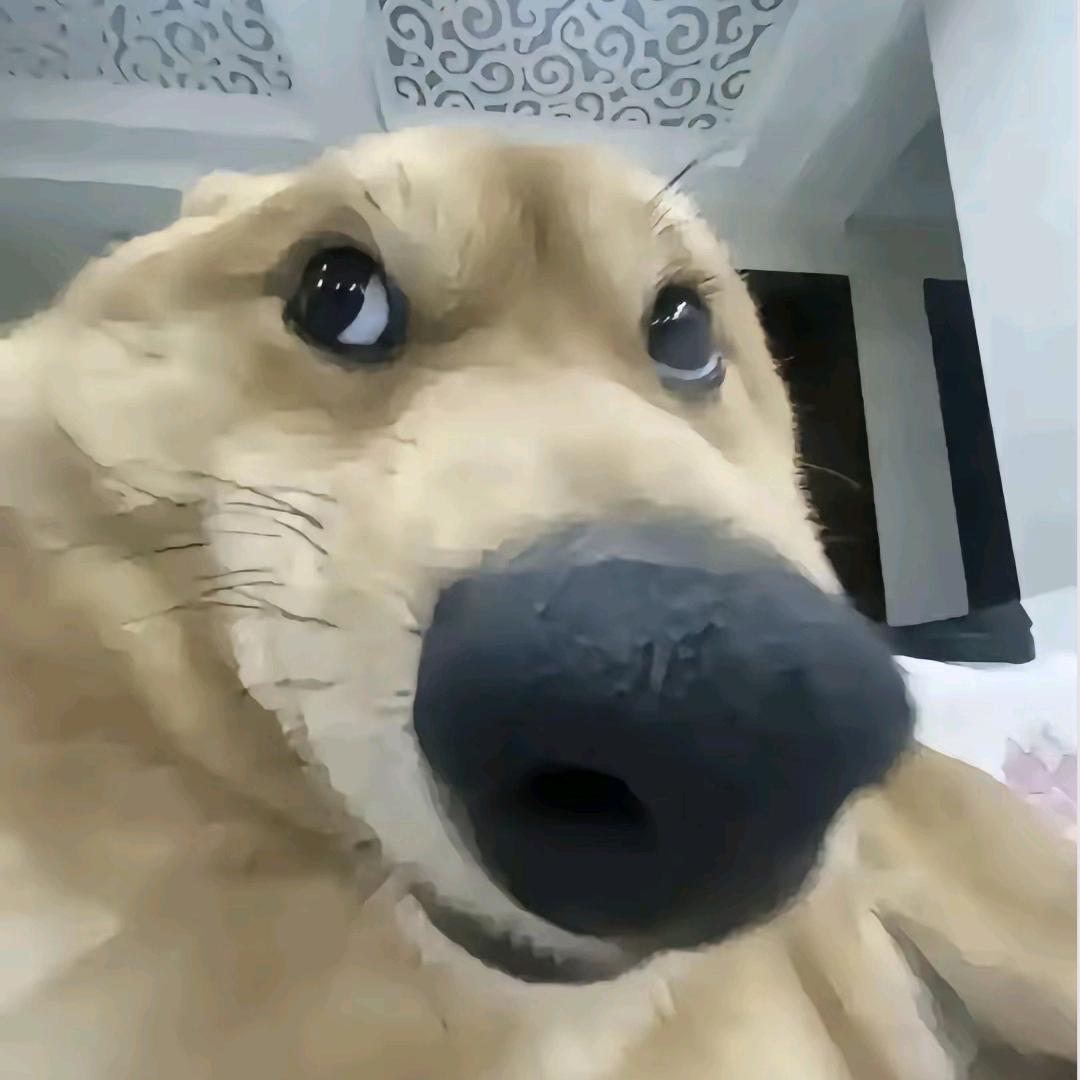 用念想抓住风