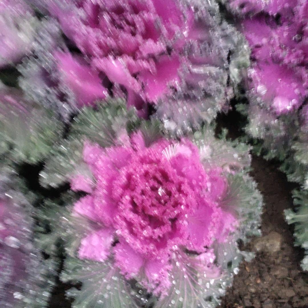 浑身思思好不洗恩情