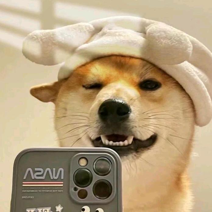 情缘搞笑哥