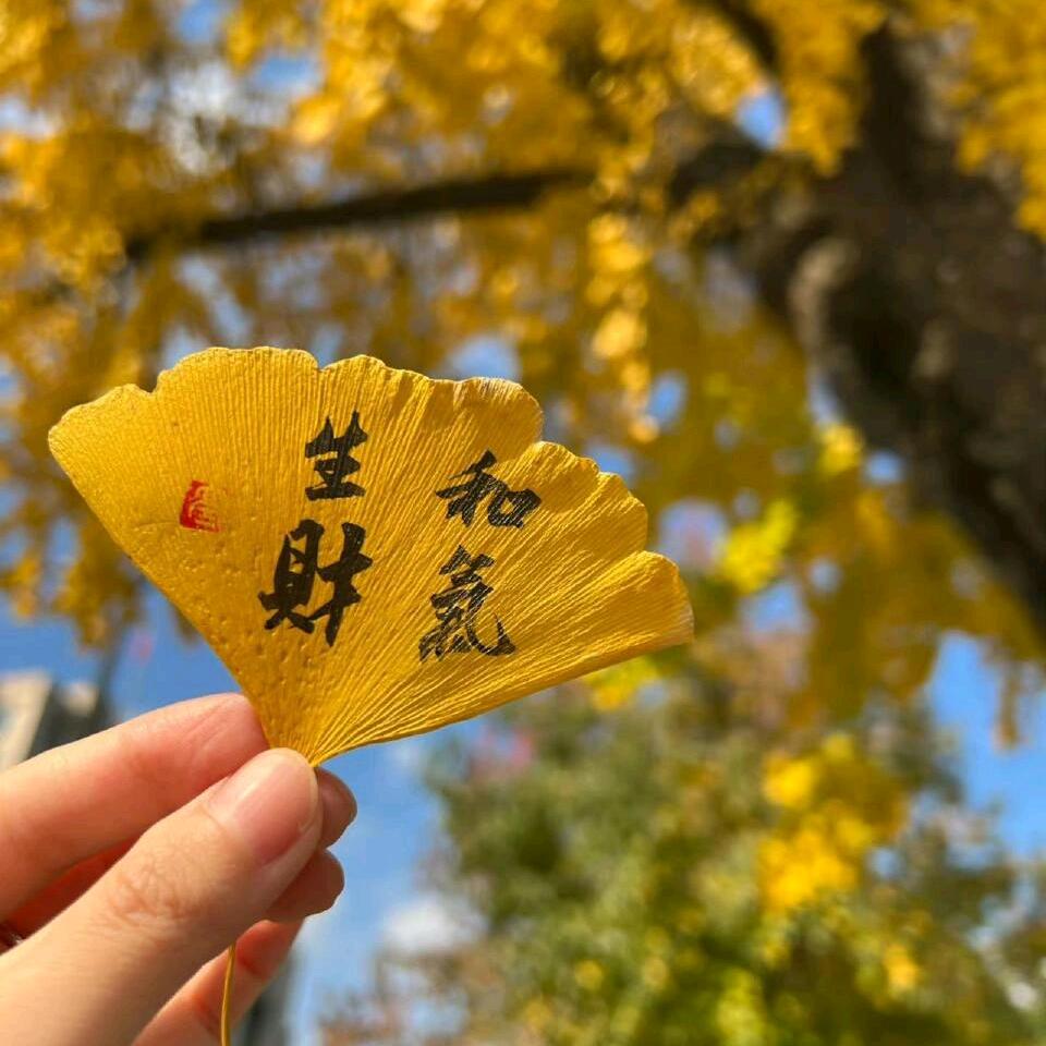 鑫鑫福利号