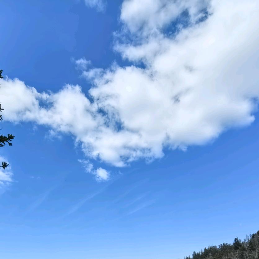 616沝沝沝