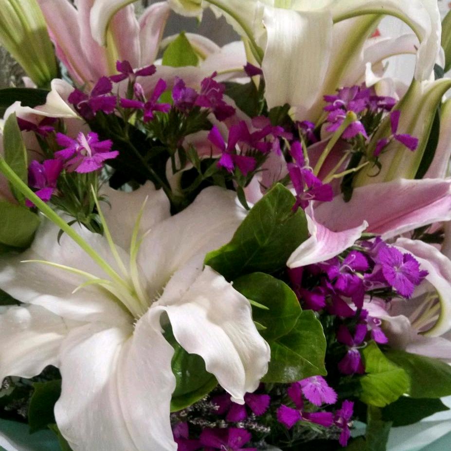 杨大姐🌷🌷