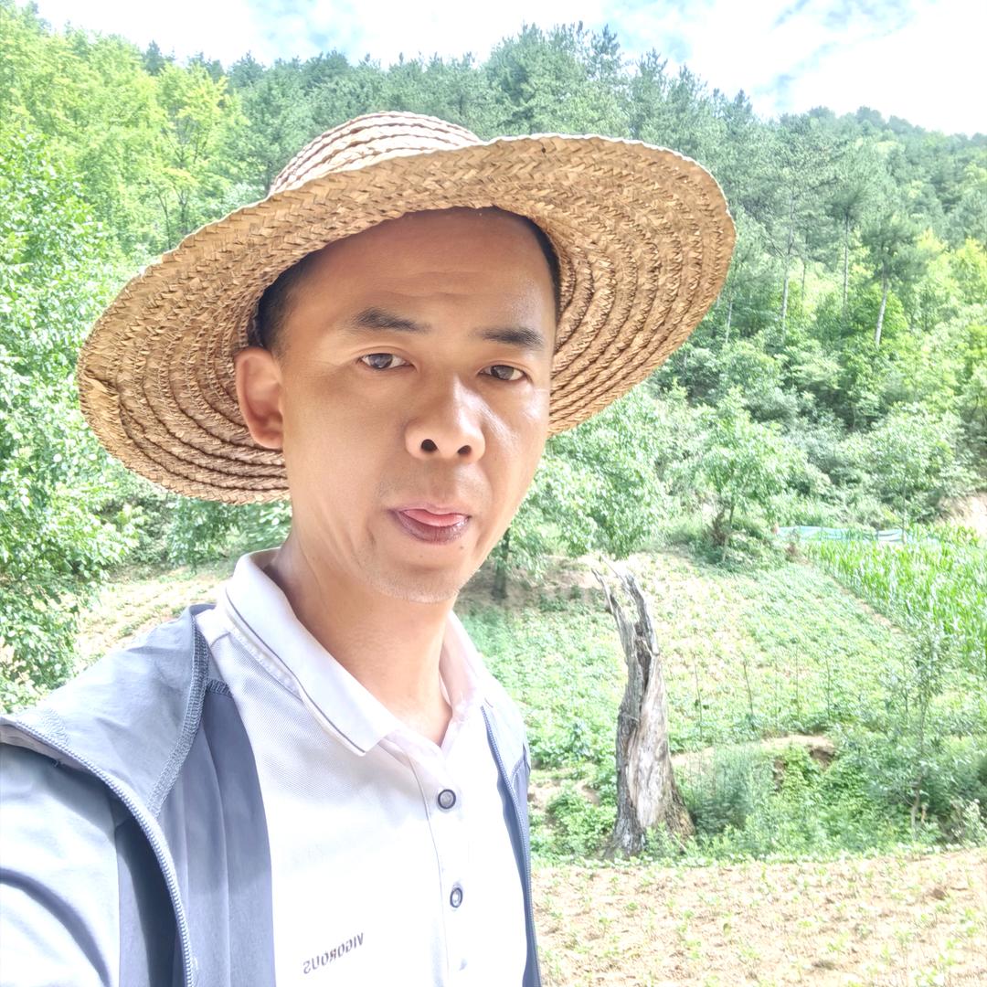 养蜂哥晨曦（爱唱歌，不定时开播）