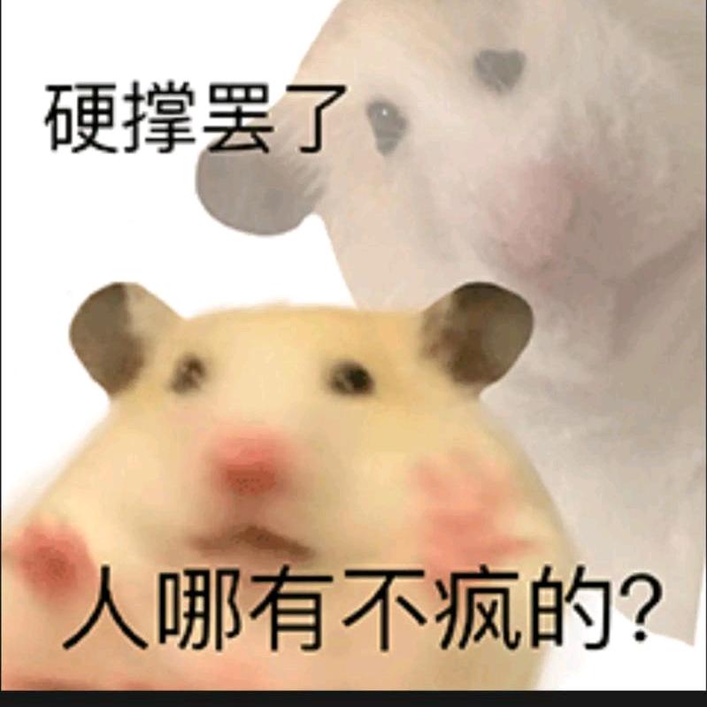 西伯利亚老鼠干