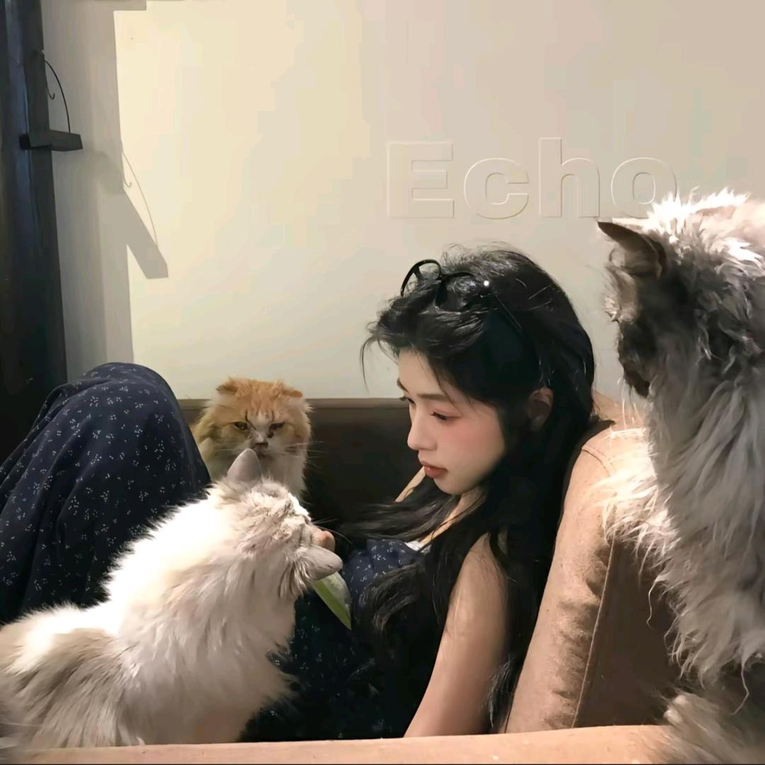 屁大王