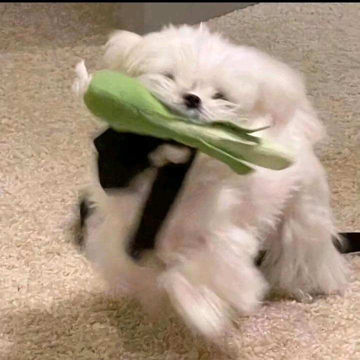 斜方肌别痛