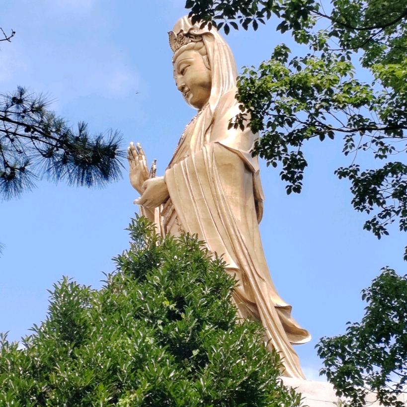 董事长