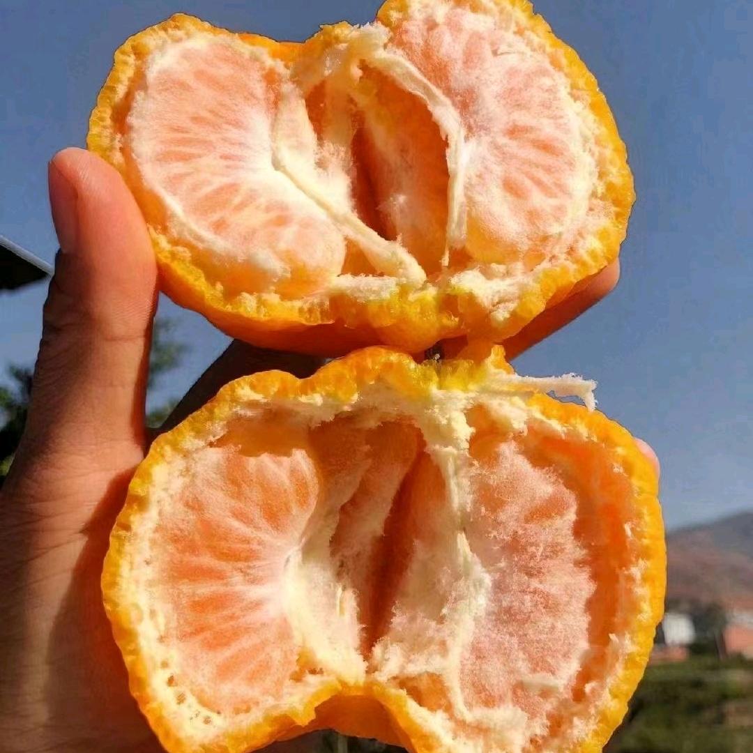 搙起袖子干到底