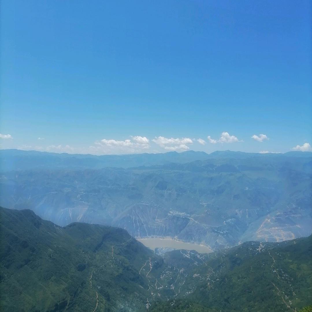 枇杷.