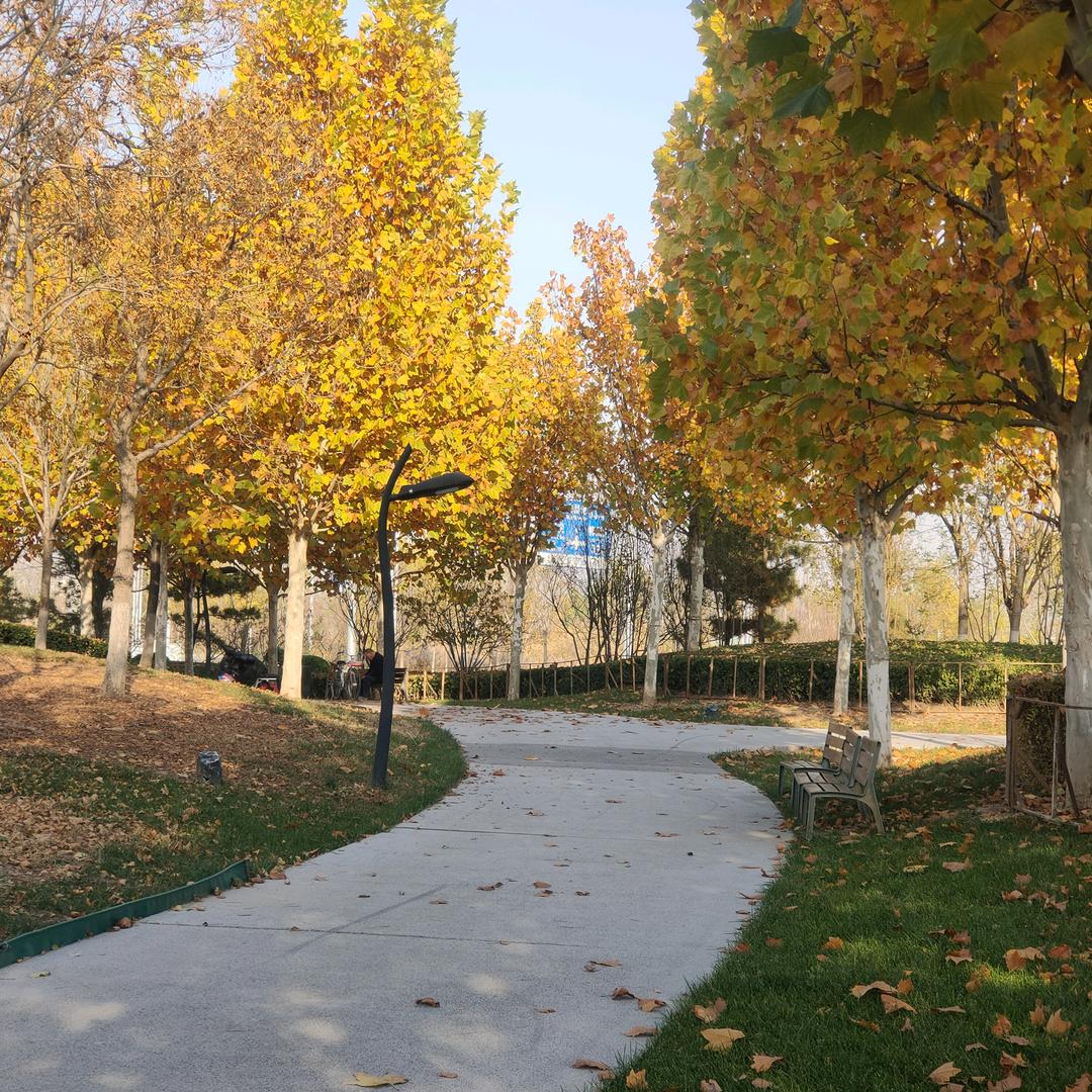 天津·力合装饰