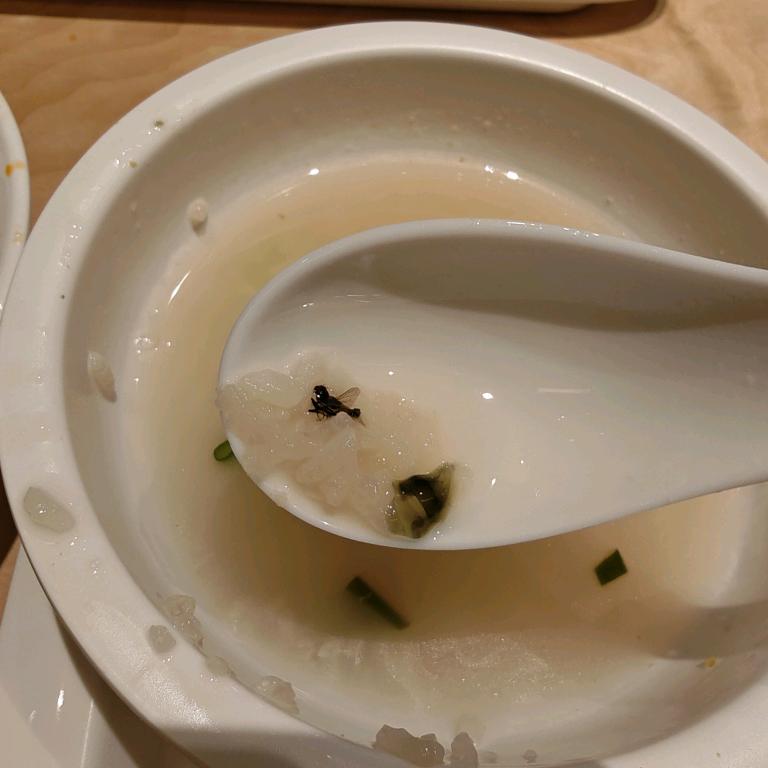 白城阳光广场惠桥粥铺吃出苍蝇