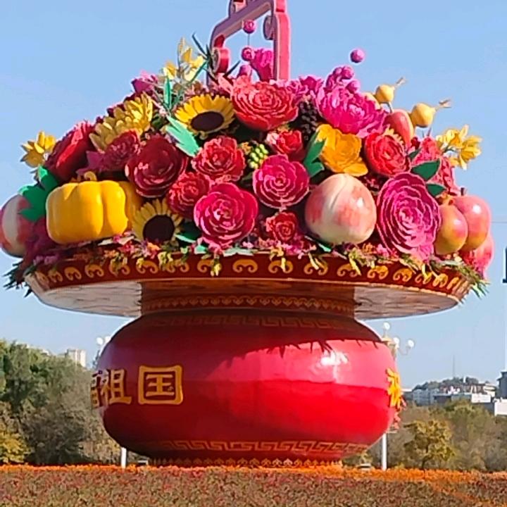 快乐的一只小青蛙