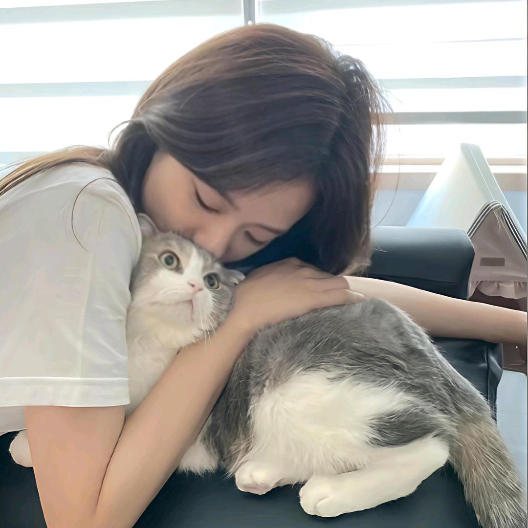 柏丹🐰