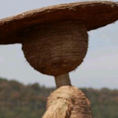 自由自在🌹🌹🌺🌺🍎🍎