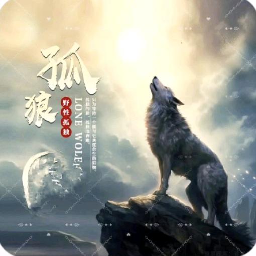 ♀夜孤狼🐺