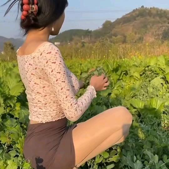 莲妹妹