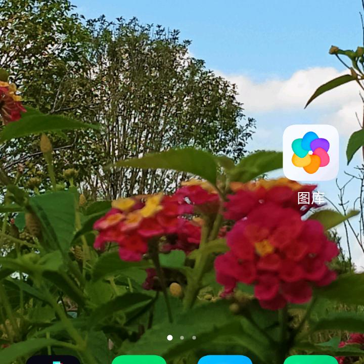好好爱自己☂🌹