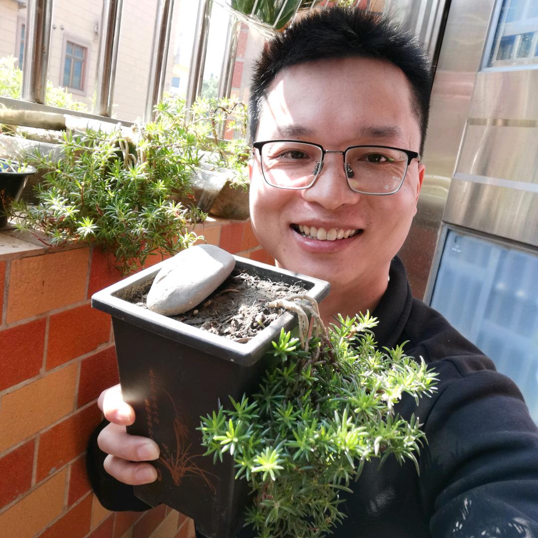 豪哥的花园