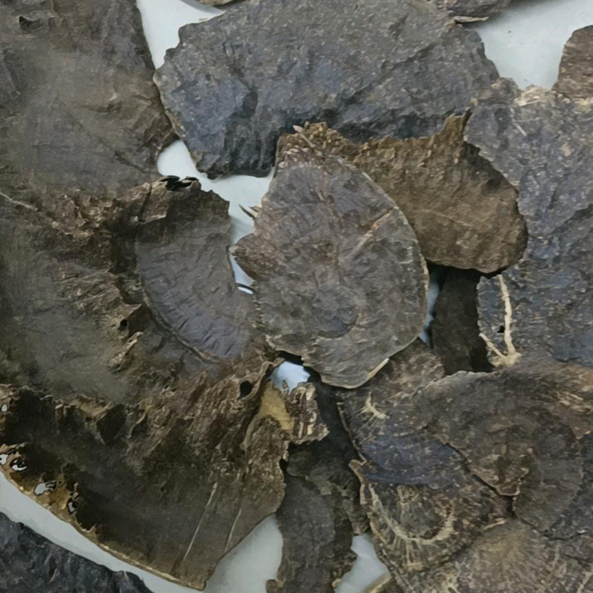 海南亘香沉香馆亘烨沉香