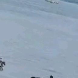 气死驴